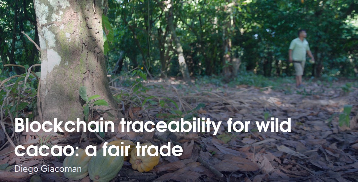 Portada proyecto blockchain - cacao